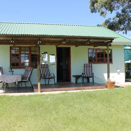 Cicada Self Catering Cottage อันเดอร์เบิร์ก ภายนอก รูปภาพ