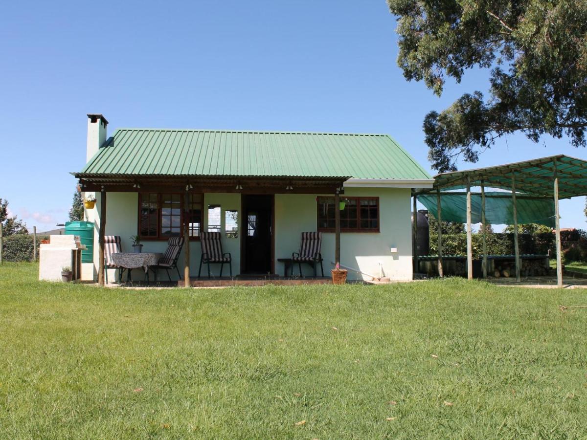 Cicada Self Catering Cottage อันเดอร์เบิร์ก ภายนอก รูปภาพ
