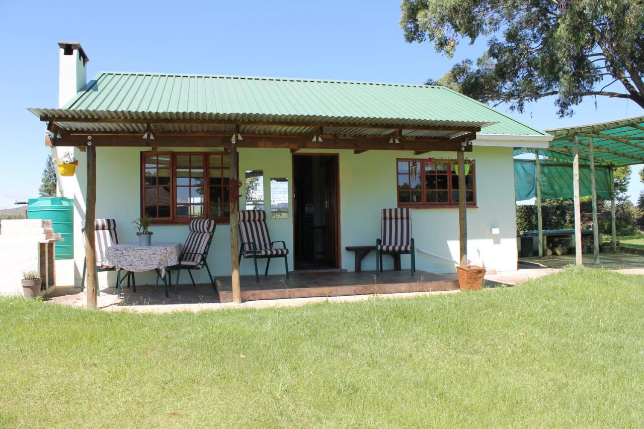 Cicada Self Catering Cottage อันเดอร์เบิร์ก ภายนอก รูปภาพ
